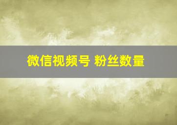 微信视频号 粉丝数量